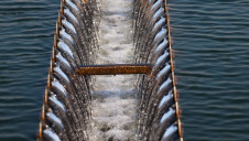Veolia's Multiflo process will be used to treat hazardous liquid waste in Dubai, UAE